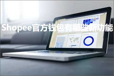 璺ㄥ鐢靛晢鐭ヨ瘑:Shopee瀹樻柟閽卞寘鏈夊摢浜涙柊鍔熻兘