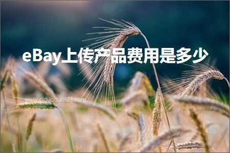 跨境电商知识:eBay上传产品费用是多少