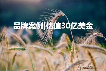 璺ㄥ鐢靛晢鐭ヨ瘑:鍝佺墝妗堜緥|浼板€?0浜跨編閲? width=