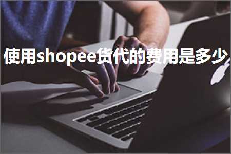 璺ㄥ鐢靛晢鐭ヨ瘑:浣跨敤shopee璐т唬鐨勮垂鐢ㄦ槸澶氬皯